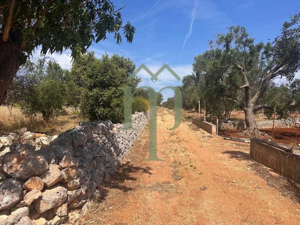 Helårsgrund i Carovigno, Brindisi - foto 1